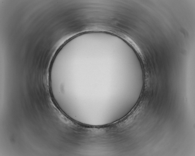 X0000112070996200909011019