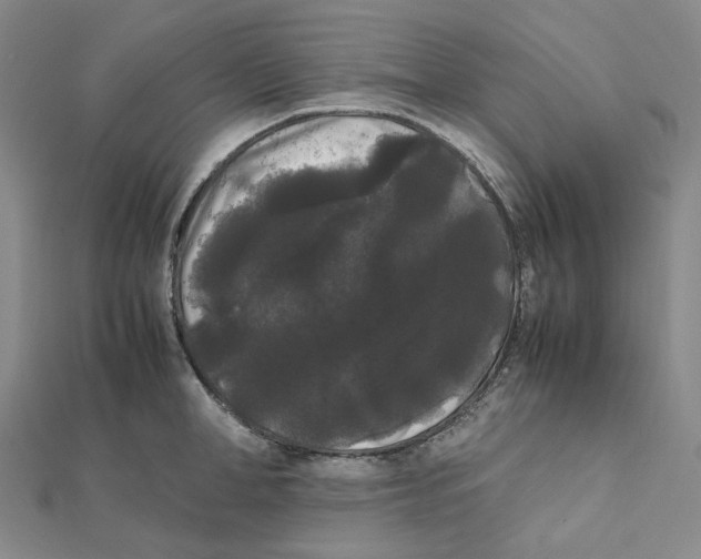 X0000112070998200909011019