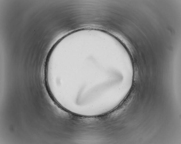 X0000112070999200909011019