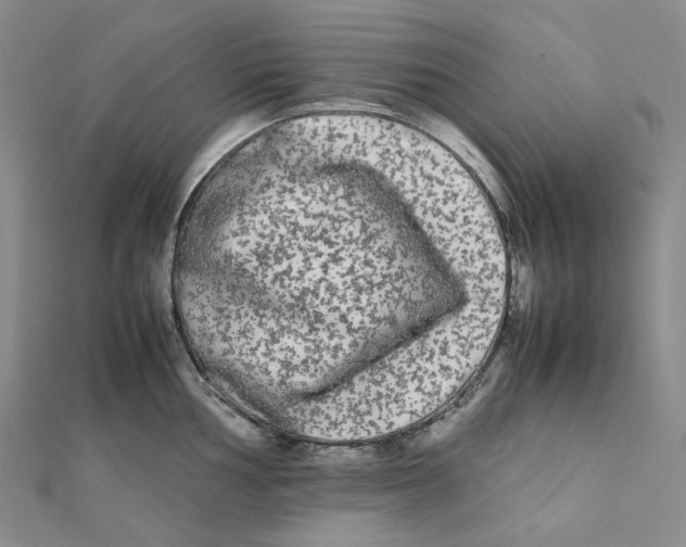 X0000112071002200909011019