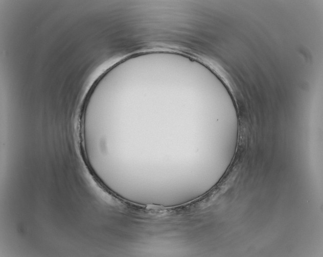 X0000112071003200909011019