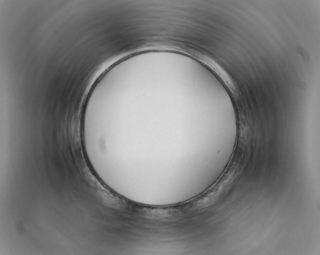 X0000112071004200909011019