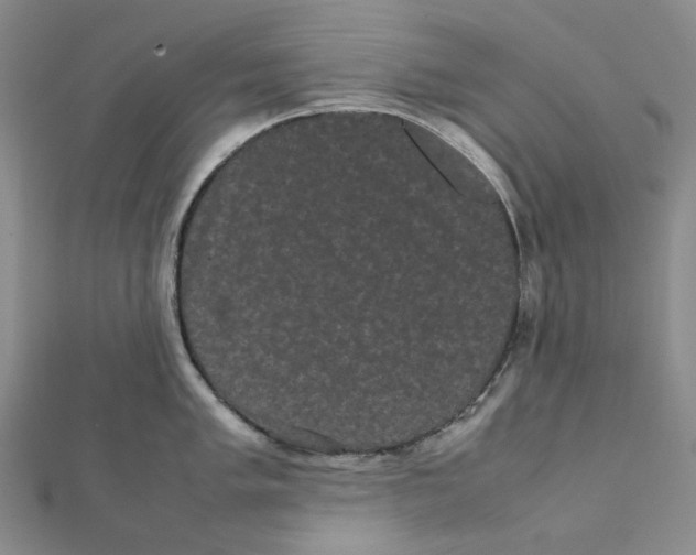 X0000112071005200909011019