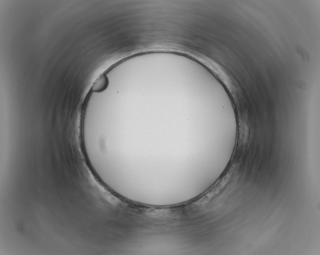 X0000112071006200909011019