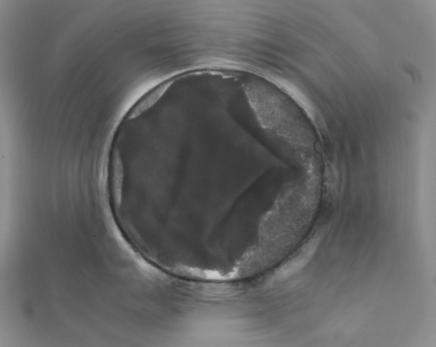 X0000112071007200909011019