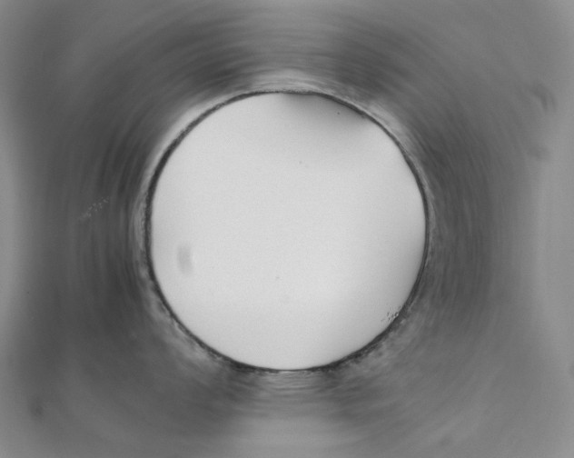 X0000112071008200909011019