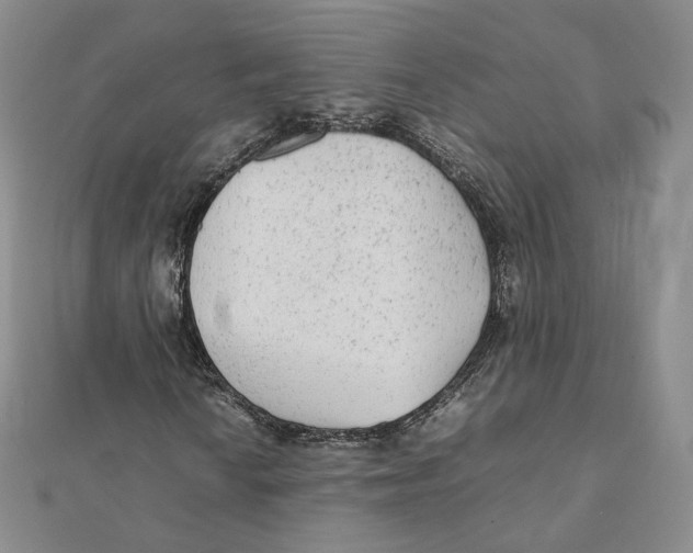 X0000112071010200909011018