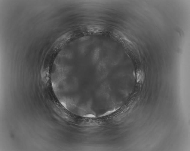 X0000112071011200909011018