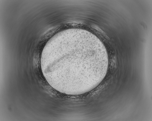 X0000112071014200909011018