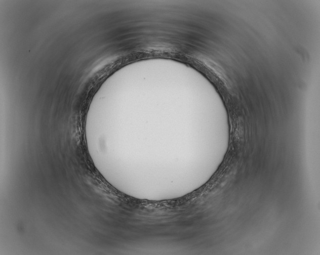 X0000112071015200909011018