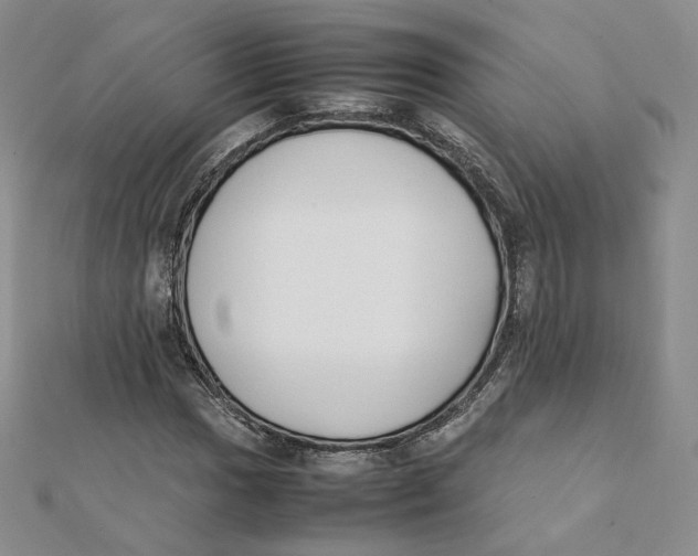 X0000112071017200909011018
