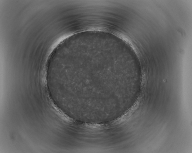 X0000112071019200909011018