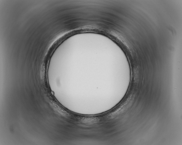 X0000112071021200909011018