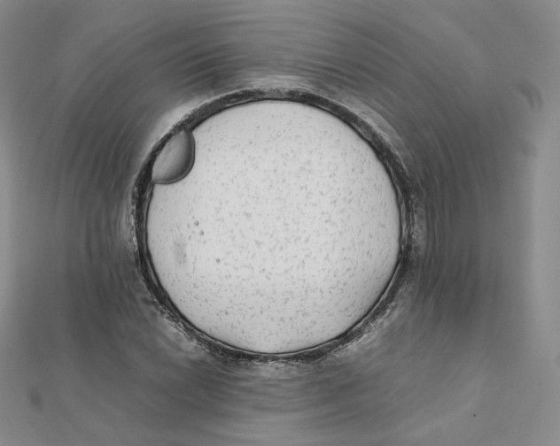 X0000112071022200909011018