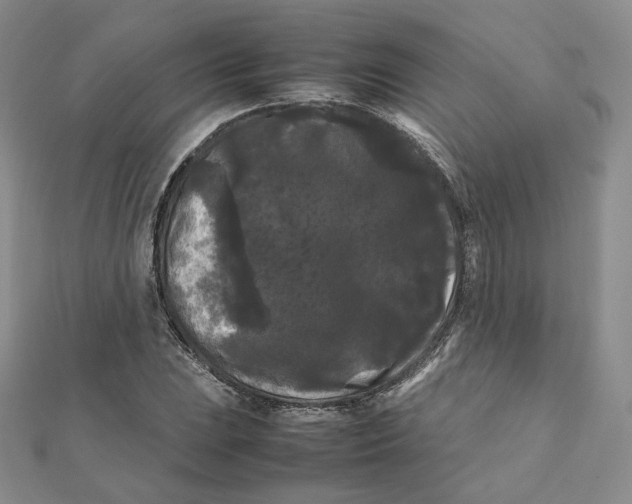 X0000112071023200909011018