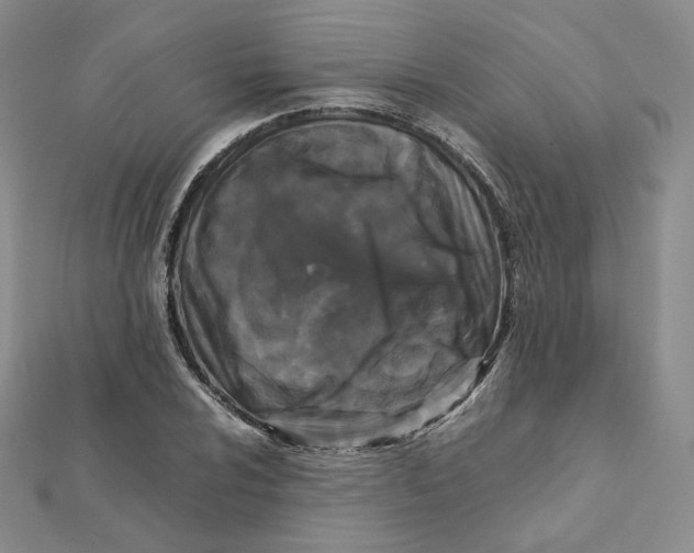 X0000112071024200909011018