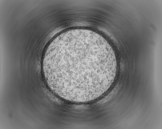 X0000112071025200909011018
