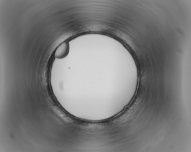 X0000112071026200909011018