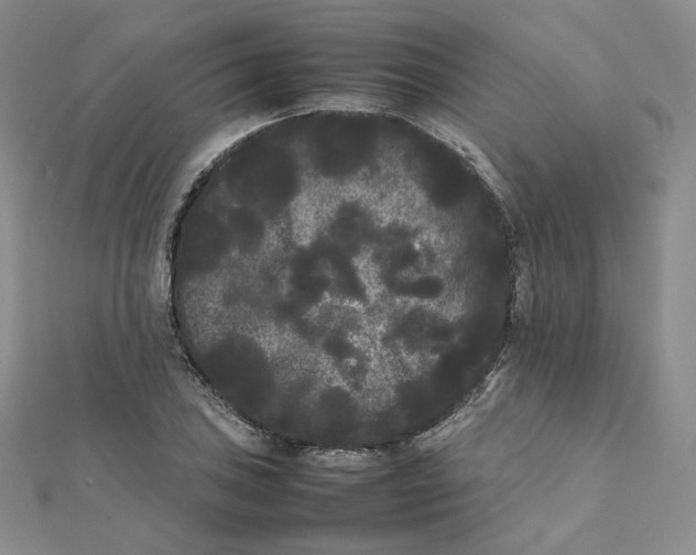 X0000112071027200909011018