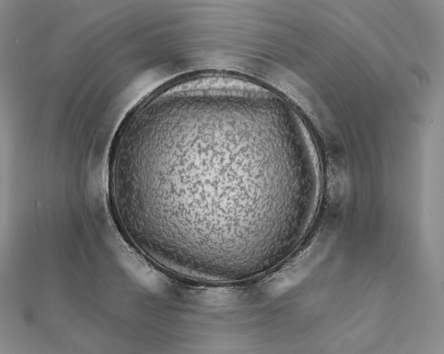 X0000112071028200909011018