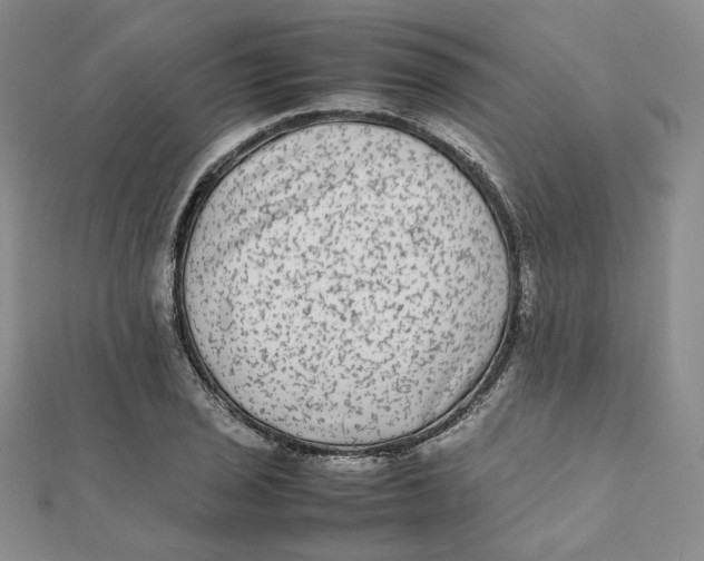 X0000112071029200909011018