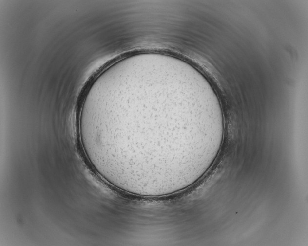 X0000112071030200909011018
