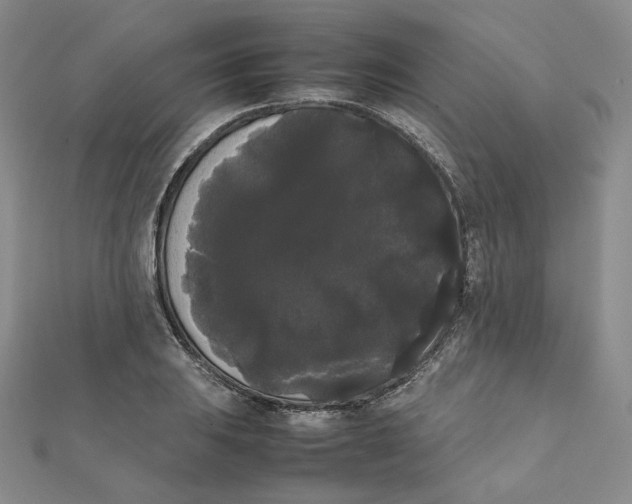 X0000112071031200909011018