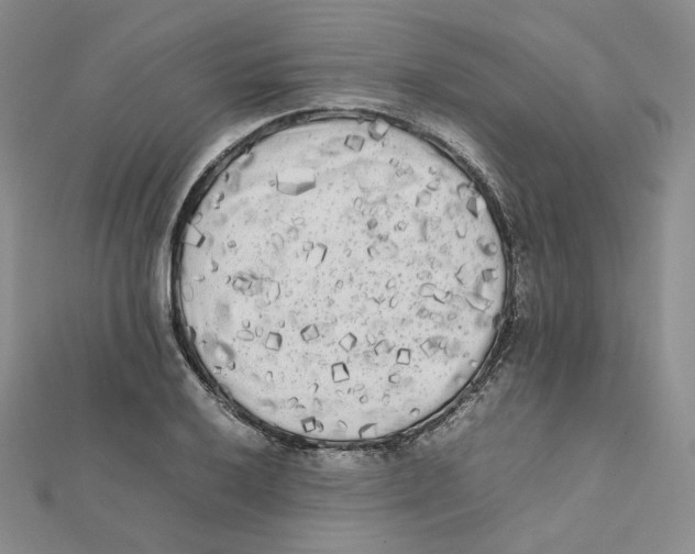 X0000112071032200909011018