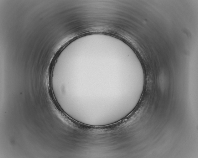 X0000112071034200909011018
