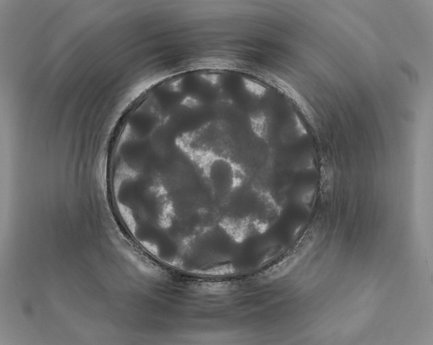 X0000112071035200909011018