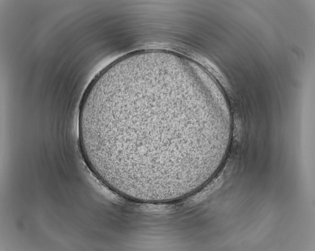 X0000112071036200909011018