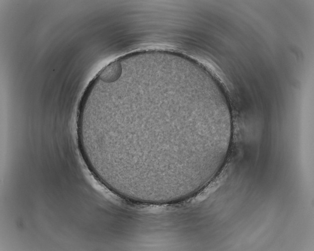 X0000112071038200909011018