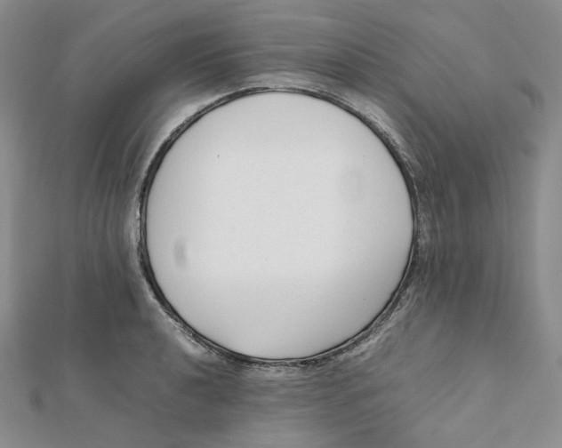 X0000112071040200909011018