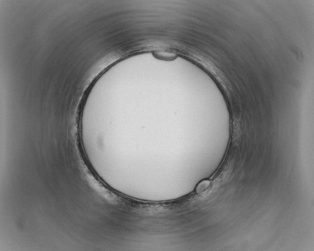 X0000112071042200909011018