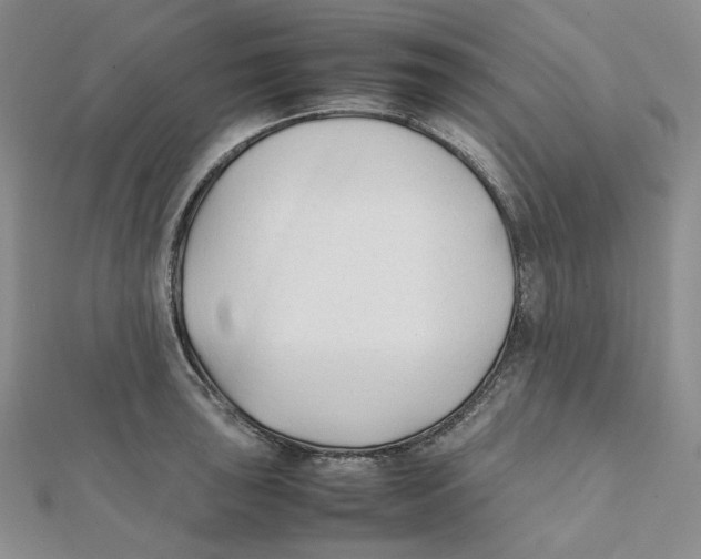 X0000112071043200909011018
