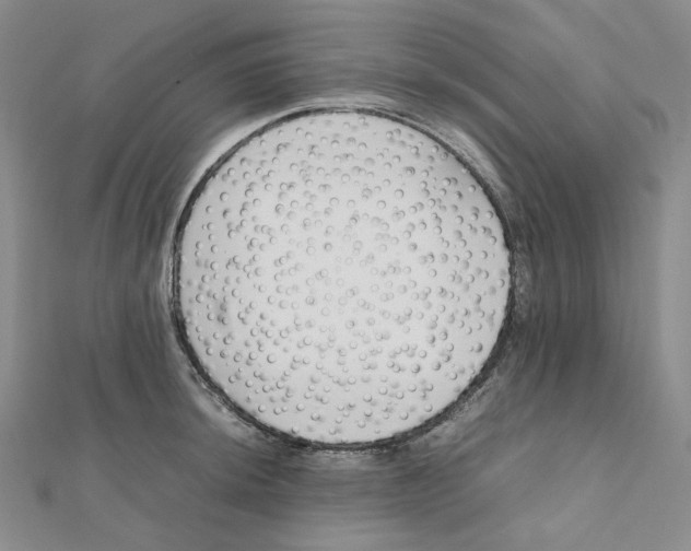 X0000112071044200909011018