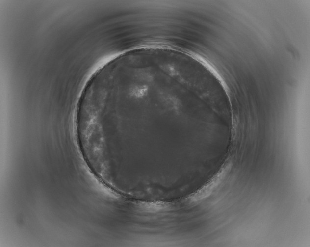 X0000112071045200909011018