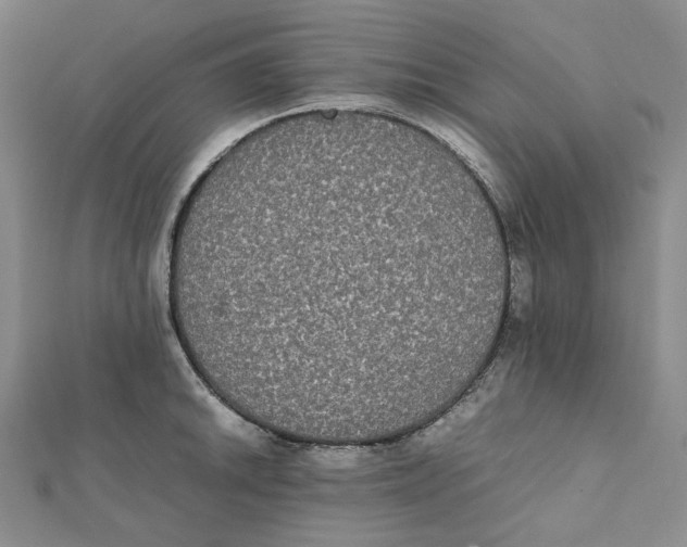 X0000112071046200909011018