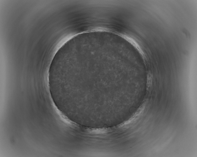 X0000112071047200909011019