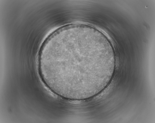X0000112071048200909011019