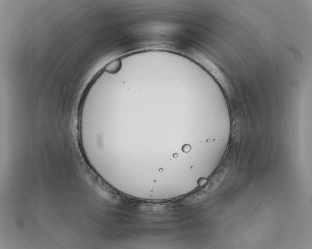 X0000112071051200909011019