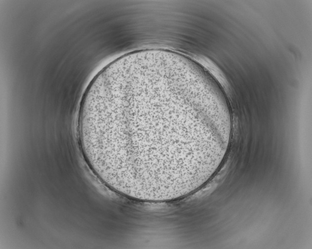 X0000112071052200909011019