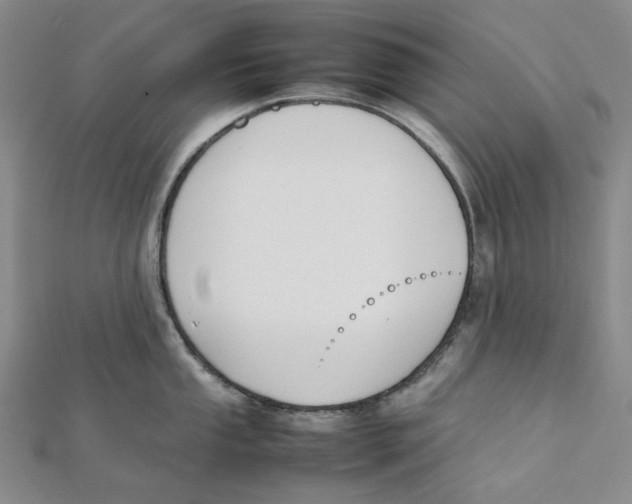 X0000112071053200909011019