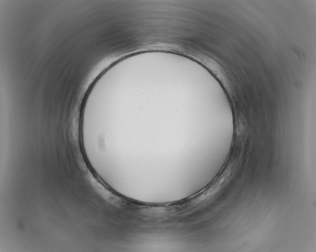 X0000112071054200909011019
