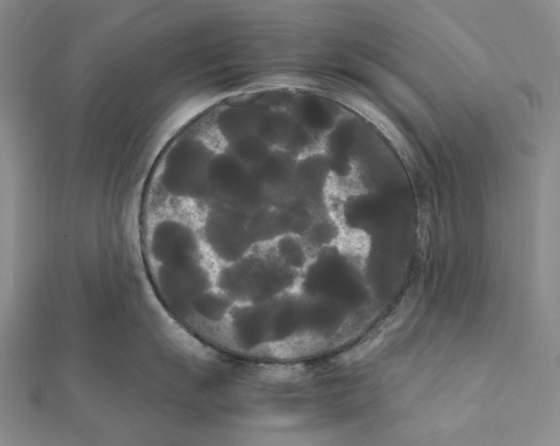 X0000112071055200909011019