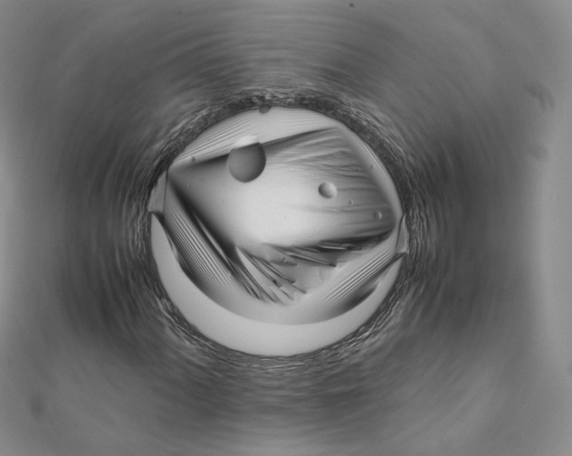 X0000112071060200909011018