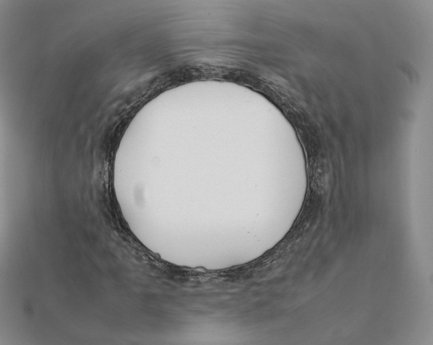 X0000112071061200909011018