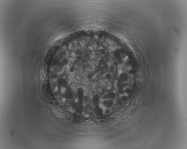 X0000112071063200909011018