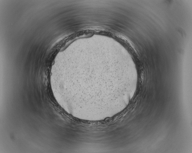 X0000112071064200909011018