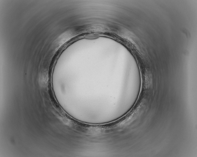 X0000112071065200909011018